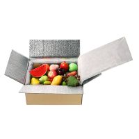 Doublures isolantes pour aliments froid, kit de repas en acier inoxydable, revêtement d'emballage de boîte thermique