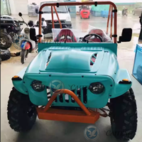 Caiteng Side 4x4 300cc 350cc 500cc 1000cc Mini Jeep Essence/Électrique 2/4 Places Homologué Route pour Adultes Buggy Automatique Garantie 2 Ans