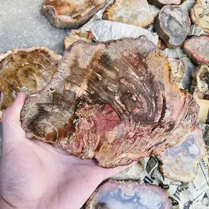 Atacado natural polido madeira fóssil slab petrificado áspero pedra fatiar espécie para decoração