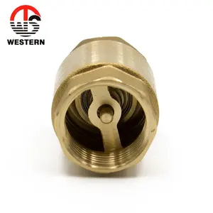 High Quality General 1/2" - 4" Quick Connect Manual Compressor Spring Water Gas Metal Check Foot Valve