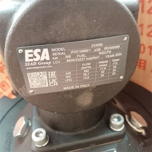 อะไหล่อุตสาหกรรม ESA Burner EMB-4-FALL-CH4-E-M4-E สำหรับใช้งานเชิงกล ผลิตในอิตาลี - Product Image 1