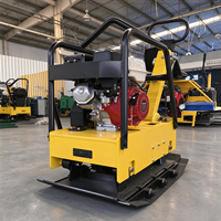 Nouveau Compacteur à Plaque Vibrante Autotracté OEM 13 CV, Moteur à Essence, Haute Efficacité, Pompe Simple pour le Nivellement du Sol