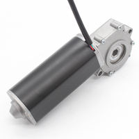 Moteur à engrenage à vis sans fin pour bureau debout réglable en hauteur 12V 24V DC Construction à aimant permanent avec commutation de brosse
