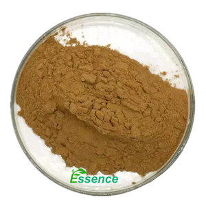 ผงสกัด arugula บริสุทธิ์ผง ERUCA sativa 10:1สารสกัดจาก ativa ผงสกัดจรวดธรรมชาติ - Product Image 2