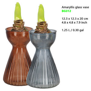 Esschert Design Vente en gros d'intérieur <span class=keywords><strong>vase</strong></span> à forcer les bulbes en verre translucide à col fin Crocus <span class=keywords><strong>jacinthe</strong></span> amaryllis - Product Image 4