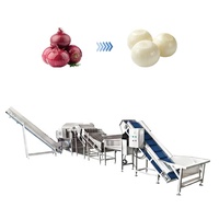 Industriële uienpelschilmachine met 1 jaar motorgarantie CN;HEN Productiecapaciteit voor fruit- en groenteverwerking