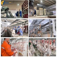 Équipement d'abattage de volaille de bonne qualité, poulet, canard, caille, ligne d'abattage halal pour abattoir