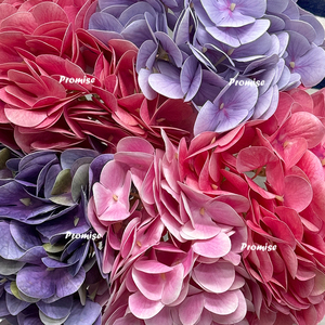 Promesa Suministros al por mayor Hortensia de seda de alta calidad Flor suelta artificial colorida para la decoración del hogar del banquete de boda - Product Image 4