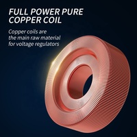 Stabilisateur de tension monophasé à vente chaude 1000VA 3000VA 5000VA 8000VA AC 220V AVR Régulateur de tension automatique