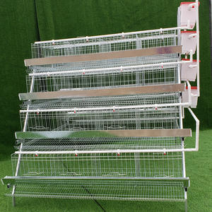 Gabbia per Galline Ovaiole Zincata di Alta Qualità, 4 Piani, 4 Serbatoi d'Acqua, per <span class=keywords><strong>2000</strong></span> Polli, Utilizzata in Allevamenti Avicoli - Product Image 1