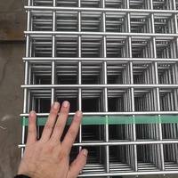 Rouleau de grillage soudé galvanisé à chaud de 1/2 pouce pour cage à oiseaux, clôture animale, vente en gros