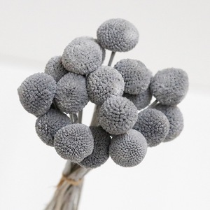 <span class=keywords><strong>Flores</strong></span> Secas <span class=keywords><strong>de</strong></span> Craspedia Billy Balls, Decoración Duradera para el Hogar, Oficina, Bodas y Eventos - Product Image 6