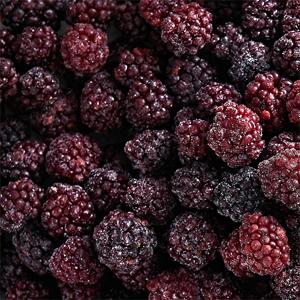 2025 nouvelle saison IQF usine de mûres congelées exportation directe prix de gros en vrac mûres 70% noir No Suger - Product Image 2