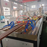 Máquina de Extrusión de Revestimiento de WPC (Compuesto de Madera y Plástico HDPE Reciclado) en Oferta, Línea de Producción de Tableros de WPC para Exteriores TONGSANHEGU