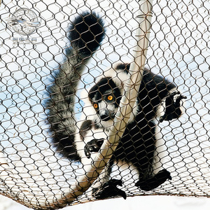 Vente directe usine – Treillis métallique en acier inoxydable SUS316, durable, tissé, imperméable et écologique pour petits animaux de <span class=keywords><strong>zoo</strong></span> - Product Image 5