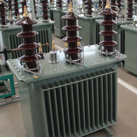 Transformateur de distribution triphasé immergé dans l'huile 30 kV/0,4 kV Dyn11, transformateur de puissance conforme à la norme IEC