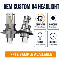 Ampoules de phare LED H4 6000K Blanc Froid Lumière Blanche Intense Kit de Mise à Niveau Mini Taille 1:1 pour l'Amélioration des Phares de Véhicule