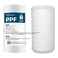 Cartouche filtrante plissée de 5 pouces, membrane microporeuse PP à pression plate 022 045 m, type à bord droit, purificateurs universels d'eau et de vin