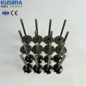 Válvulas de Admisión y Escape de Motor de Calidad OEM 53021550AA 53021551AA 53022087AA 53022088AD para Jeep Chrysler Grand <span class=keywords><strong>Cherokee</strong></span> <span class=keywords><strong>5.7</strong></span> <span class=keywords><strong>HEMI</strong></span> - Product Image 5