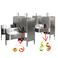 Fruit- en groenteschilmachine, mango verwerkingslijn, automatische mangoschilmachine, mango was- en sapmachine