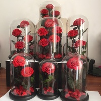 Boîte cadeau de la Saint-Valentin Belle Enchanted avec rose naturelle, fleurs éternelles, rose éternelle dans un dôme en verre avec LED