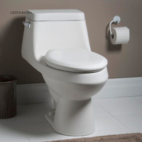 Toilette en céramique une pièce, douche automatique, bain d'oiseaux chinois, produits de toilette
