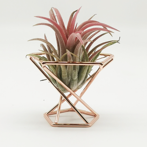 3pcs Supports de plantes à air en céramique de luxe géométriques modernes Grandes tables suspendues carrées/dessus de bureau Mini pots de jardin de luxe - Product Image 3
