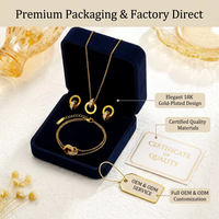 Conjunto de Collar y Pendientes con Doble Anillo Entrelazado con Números Romanos Personalizados, Chapado en Oro de 18K, Joyería de Acero Inoxidable para Mujer, Regalo