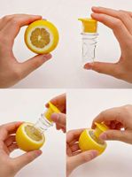 Nieuwe Lemon Orange Fruit & Vegetable Juicer Handleiding