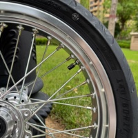 Rueda Delantera/Trasera de Aleación de Aluminio para Bicicleta Eléctrica Surron Ultra Bee de 17x2.5/3.5 Pulgadas con Neumático 175/65R14, Fabricada en Zhejiang, China