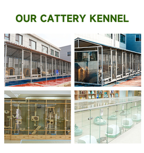 Integratori sanitari di calcio personalizzati per <span class=keywords><strong>cani</strong></span> e gatti efficace sollievo delle pulci e controllo dei parassiti in bottiglie di pesce per la cura degli animali domestici - Product Image 4