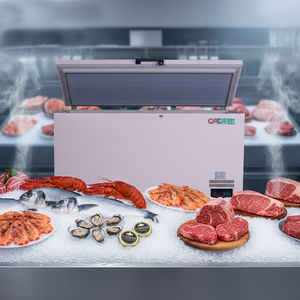 Congélateur coffre <span class=keywords><strong>gris</strong></span> 468L -60°C à économie d'énergie, idéal pour le stockage domestique, les petits supermarchés, le poisson, la viande et la volaille - Product Image 6