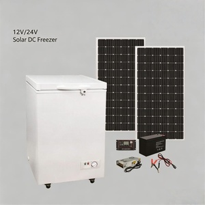 Congélateur coffre solaire 220V, porte simple, sans givre, efficacité énergétique <span class=keywords><strong>A</strong></span>++, puissance réglable, usage domestique, direct usine - Product Image 1