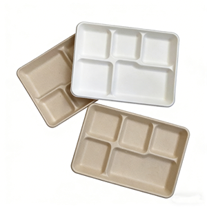 <span class=keywords><strong>Assiette</strong></span> <span class=keywords><strong>jetable</strong></span> en bagasse de canne à sucre, 5 compartiments, 10,25 pouces, étanche, vente en gros - Product Image 4