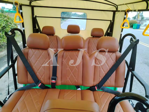 EEC COC tre ruote risciò elettrico per moto da turismo elettrico Tuk Tuk - Product Image 3