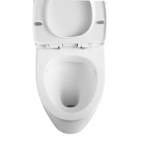 WC monobloc en céramique de luxe minimaliste avec finition gris anthracite mat et chasse d'eau à jet siphonique