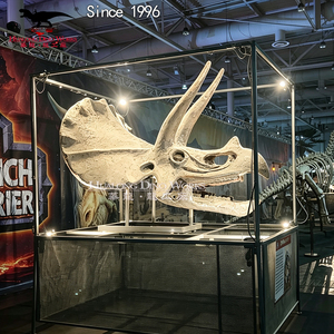 Fiberglass Dinosaur Skeleton Display T <strong>Rex</strong> Fossil Replica Museum Exhibition Decoration - Product Image 4