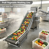 Convoyeur à bande en maille d'acier inoxydable sur mesure, élévateur incliné pour la transformation alimentaire et la manutention des légumes