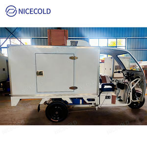 Tricycle frigorifique électrique pour la <span class=keywords><strong>livraison</strong></span> en chaîne du froid de produits surgelés, de <span class=keywords><strong>viande</strong></span>, de fruits de mer et de produits frais - Product Image 3
