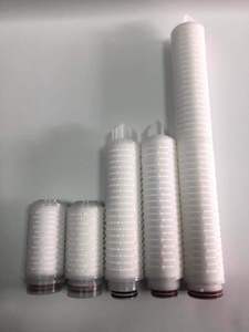 10 pulgadas 0,1 micras PES cartucho de filtro plisado para la reducción de la carga de contaminación microbiológica - Product Image 3