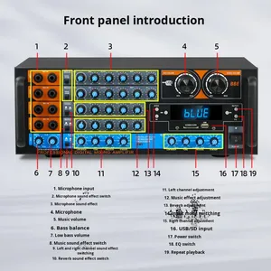 Amplificatore Digitale Hi-Fi ad Alta Potenza per Selezione Transfrontaliera, Audio Potente Senza Canali, Cina - Product Image 3