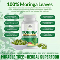 Kapsul Moringa Oleifera Alami OEM Laris Manis, Suplemen Herbal untuk Meningkatkan Imunitas & Energi, Suplemen untuk Dewasa