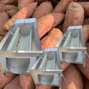 Máquina Automática Comercial de Lavado de Brotes de Frijol con Burbujas, Máquina de Lavado de Vegetales con Burbujas, para Frutas Frescas como Mango, Manzana y <span class=keywords><strong>Aguacate</strong></span> - Product Image 1