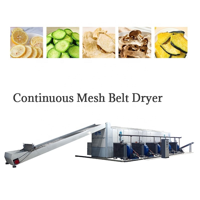 Top Sellers Smart Dryer Small Grain Dryer Machine Mesh Belt Onion/date Palm/coconut Tea Leaf Dryer