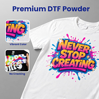 Kit de consommables DTF 500ml*6 encre de transfert CMYK blanche avec 1kg de poudre thermofusible TPU pour impression sur film PET et T-shirt