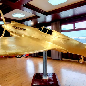 งานประติมากรรมเรซิ่นเครื่องบินขนาดใหญ่แบบกำหนดเอง รูปปั้นเครื่องบินไฟเบอร์กลาสสีทองสมจริงสำหรับจัดแสดง รุ่นต่างๆ งานฝีมือโลหะ - Product Image 2