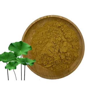 Hot Selling Lotus Leaf Extract 4% Nuciferine for Weight Loss