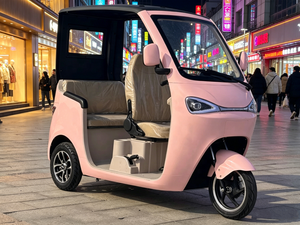 Tricycle Électrique à <span class=keywords><strong>3</strong></span> Roues avec Toit, <span class=keywords><strong>3</strong></span> Places, <span class=keywords><strong>Scooter</strong></span> Familial, Moteur Brushless 48V 60V 72V, pour Personnes Âgées - Vente en Gros - Product Image 3