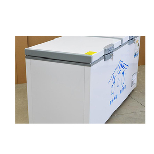 Congeladores Horizontales de 600L con Doble Puerta en Venta - Product Image 6
