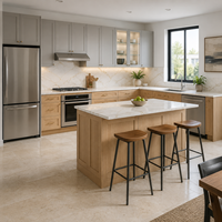 Gabinetes de Cocina Estilo Shaker Directo de Fábrica para Proyectos Residenciales a Granel, Mayoristas de Gabinetes y Suministro para Viviendas Multifamiliares